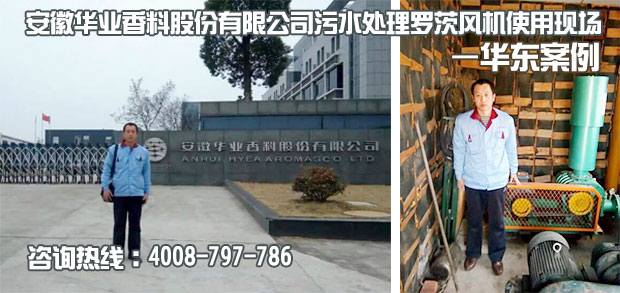 安徽华业香料污水处理用麻豆精品一区二区风机使用现场