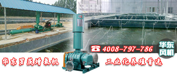 麻豆影视在线麻豆精品一区二区增氧机