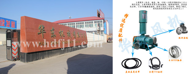 麻豆影视在线风机