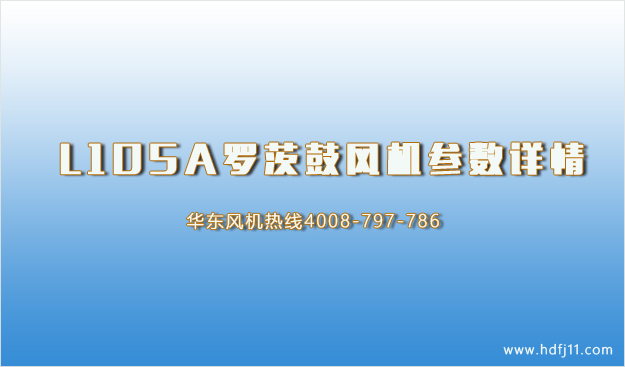 L105A麻豆精品一区二区鼓风机参数.jpg