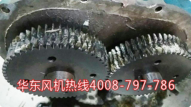 麻豆精品一区二区风机齿轮维修.jpg