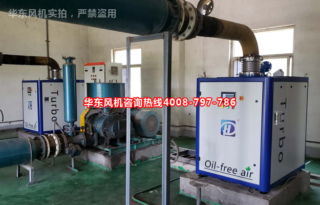 国产麻豆免费在线观看