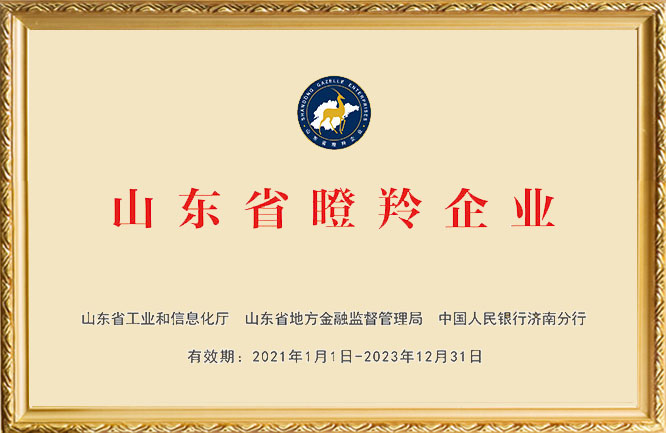 麻豆影视在线荣誉-山东省瞪羚企业