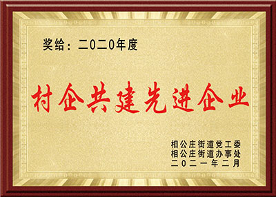 麻豆影视在线荣誉-村企共建先进企业