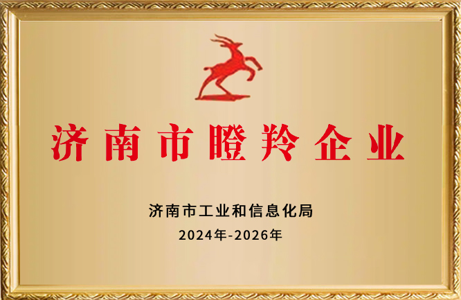 麻豆影视在线荣誉-济南市瞪羚企业