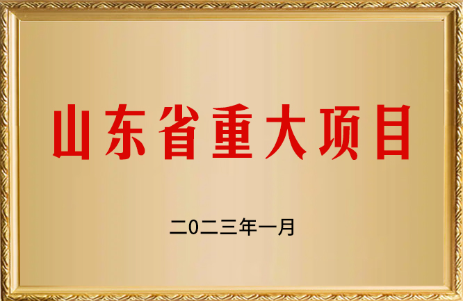 麻豆影视在线荣誉-山东省重大项目