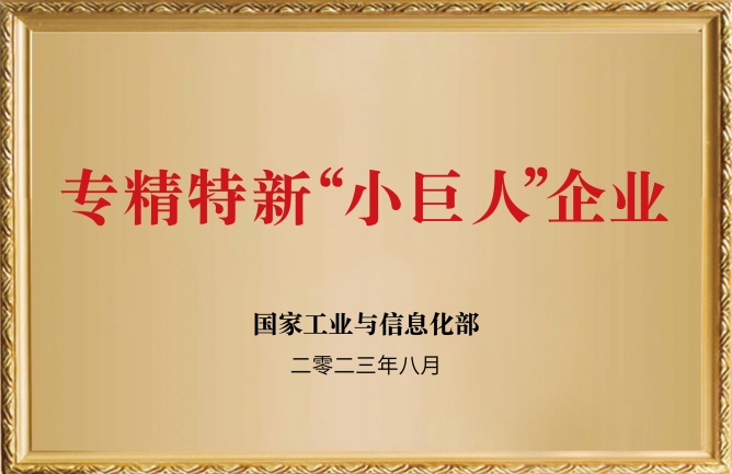 麻豆影视在线荣誉-专精特新小巨人企业