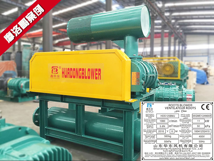 麻豆影视在线案例-摩洛哥瓦尔扎扎特污水处理项目