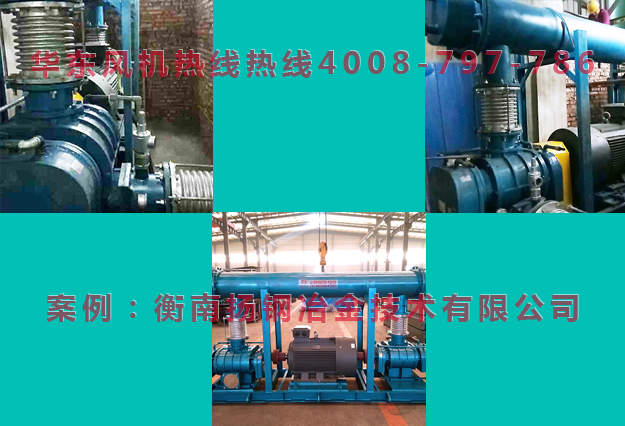 麻豆影视在线案例-衡南扬钢冶金技术有限公司