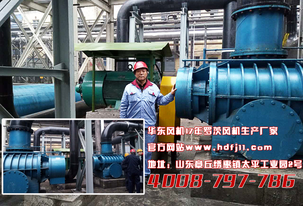 麻豆影视在线案例-陕西**煤化工有限责任公司