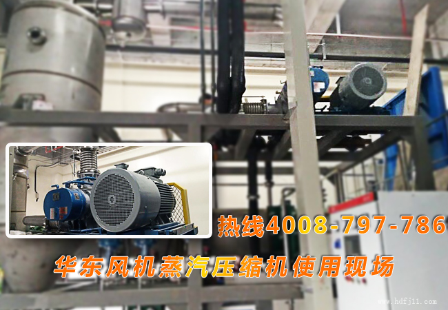 麻豆影视在线案例-**科技有限公司