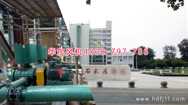 麻豆影视在线案例-石家庄**公司