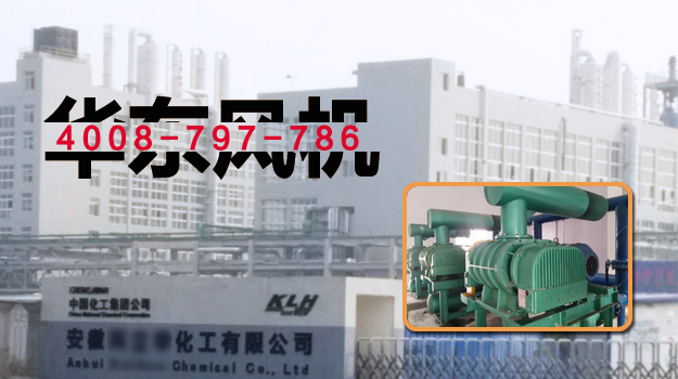 麻豆影视在线案例-安徽***化工有限公司