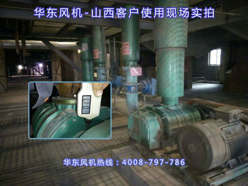 麻豆影视在线案例-山西**纸业有限公司