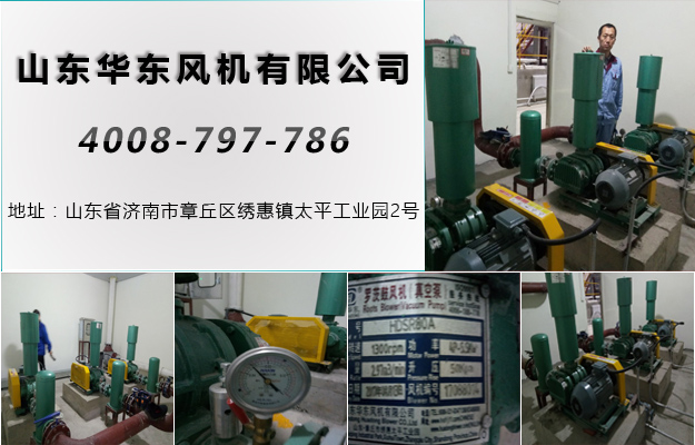 麻豆影视在线案例-鞍山**包装工业有限公司