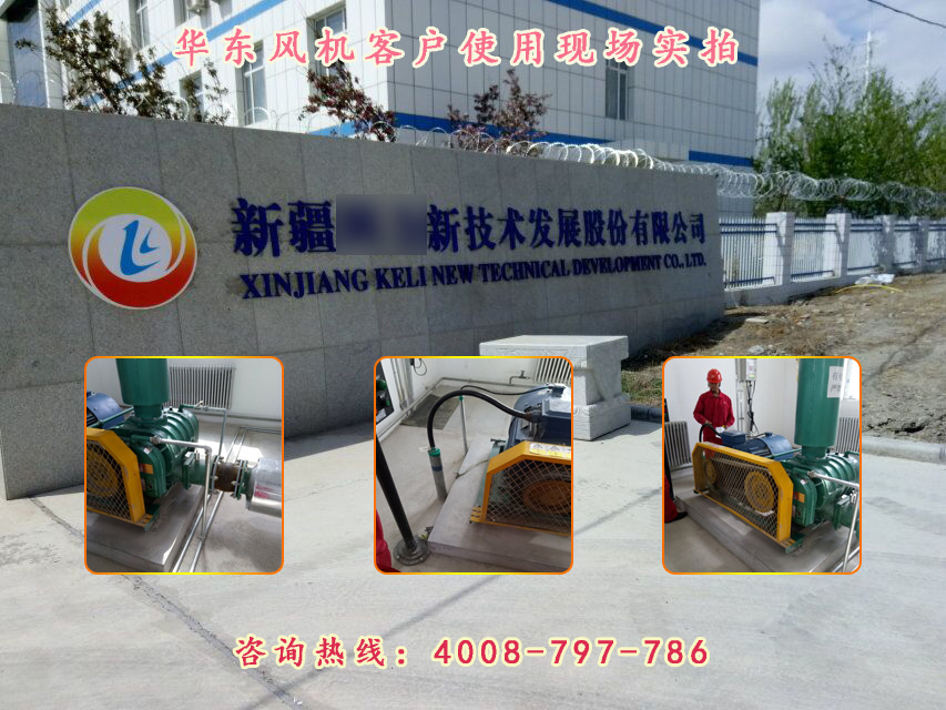 麻豆影视在线案例-新疆**新技术发展股份有限公司