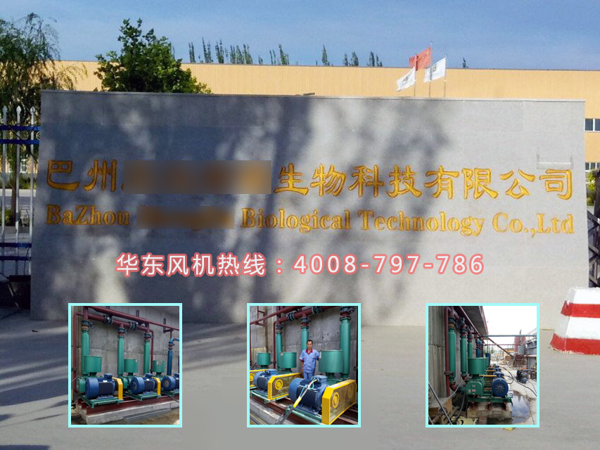 麻豆影视在线案例-巴州****生物科技有限公司