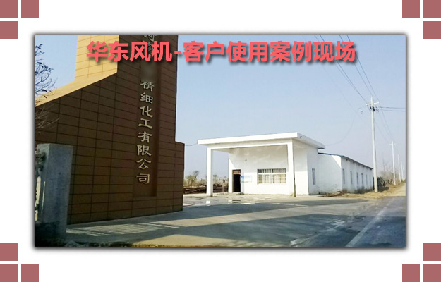 麻豆影视在线案例-河南**精细化工有限公司