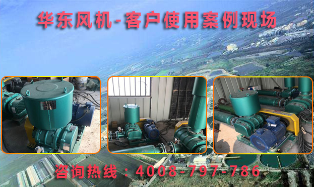 麻豆影视在线案例-海南***界生物科技有限公司