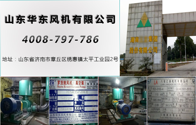 麻豆影视在线案例-湖南**集团股份有限公司