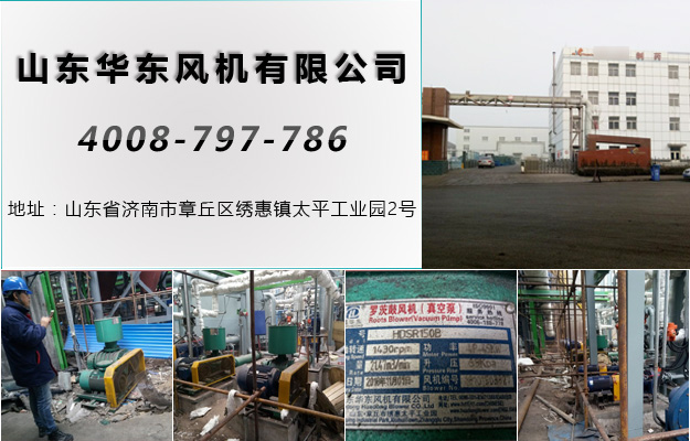 麻豆影视在线案例-山东**制药有限公司