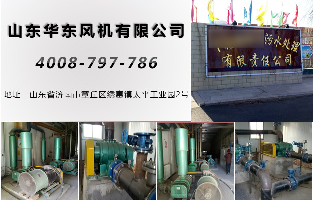 麻豆影视在线案例-张家口*****污水处理有限责任公司