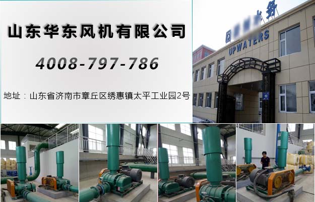 麻豆影视在线案例-长春***质工程有限公司