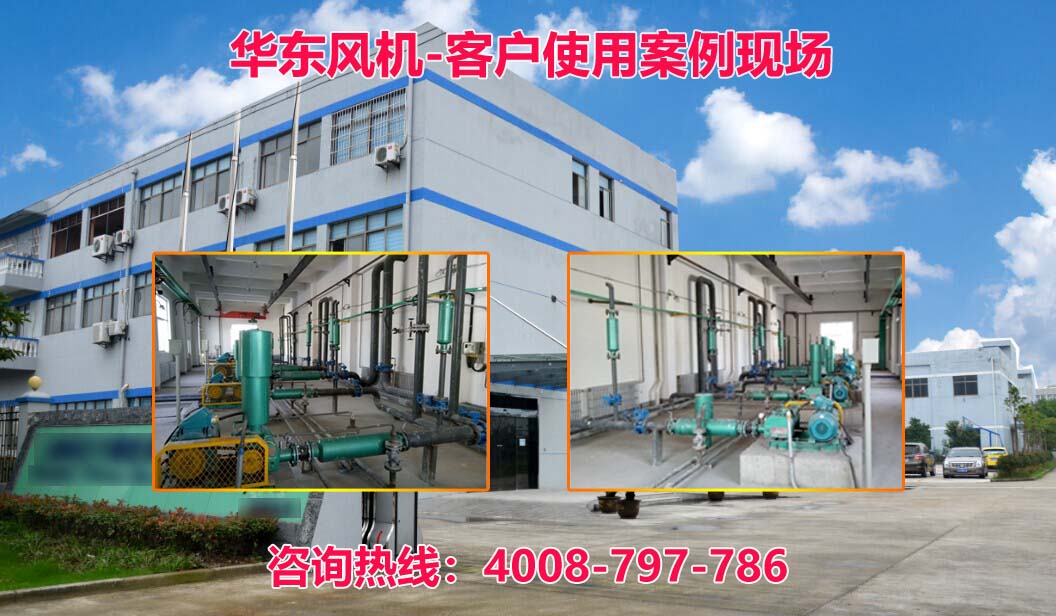 麻豆影视在线案例-安徽****药业有限公司