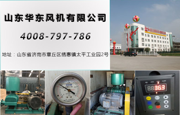 麻豆影视在线案例-江苏**食品集团