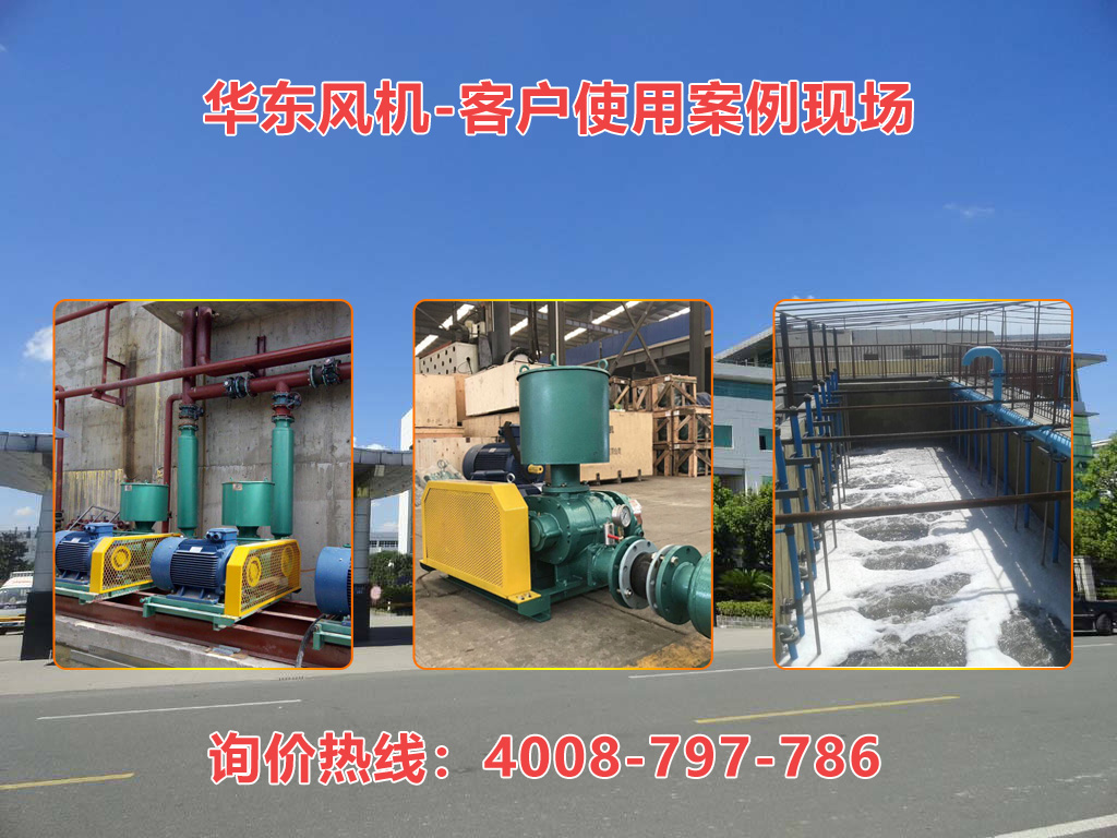 麻豆影视在线案例-北京****生态环保科技股份有限公司