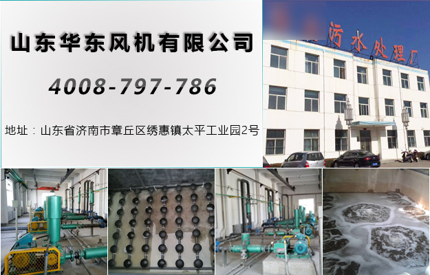 麻豆影视在线吕梁麻豆精品一区二区风机案例-山西**污水处理厂