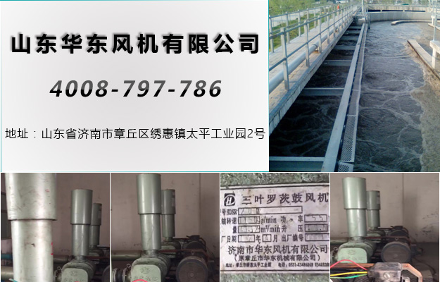 麻豆影视在线山西麻豆精品一区二区风机案例-山西*县污水处理厂