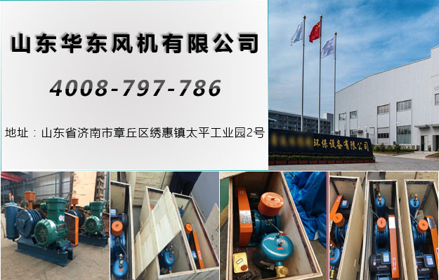 麻豆影视在线湖北回转风机案例-武汉市******环保设备有限公司