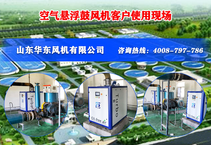 麻豆影视在线悬浮风机案例-河北**县**污水处理厂
