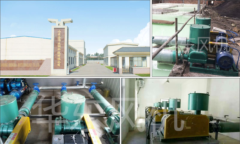 麻豆影视在线山东麻豆精品一区二区风机案例-山东***物科技有限公司